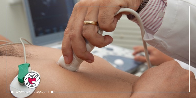 Color echo of the heart in Isfahan - Dr. Hekmat