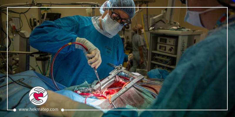 خبير تنظيم ضربات القلب